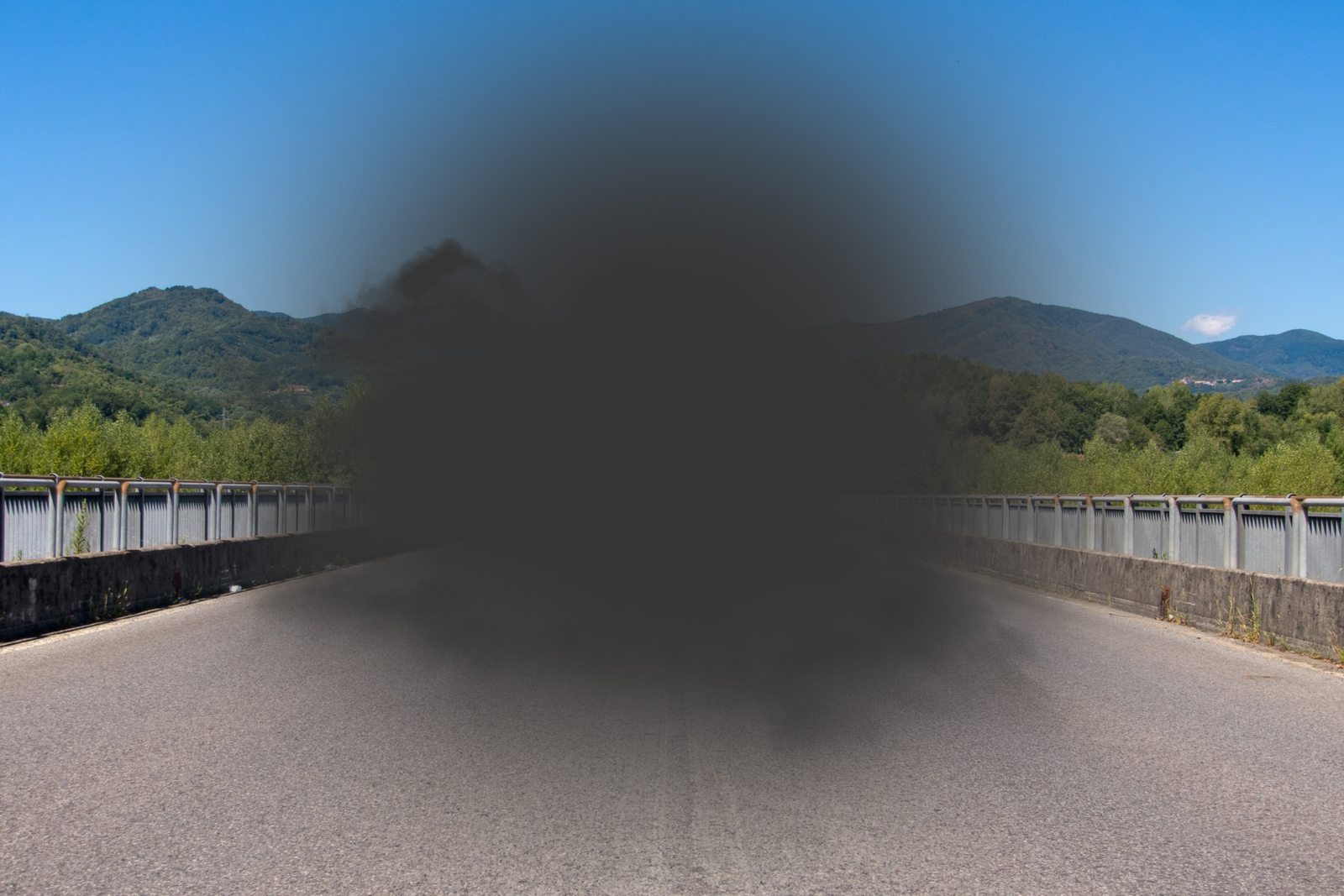 Macular Degeneration